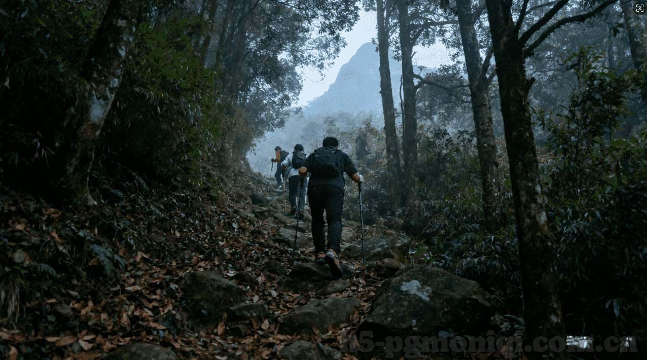 德州扑克雅虎-德州扑克与雅虎，从线上娱乐到科技巨头的跨界探索